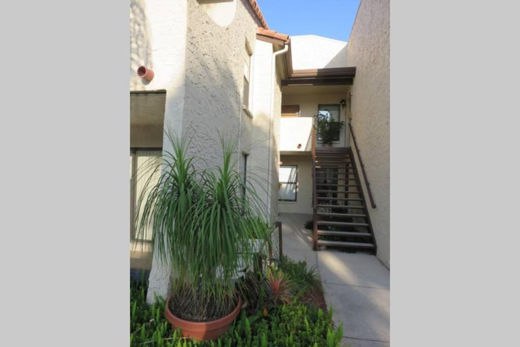 Appartement Florida On Tarpon *
